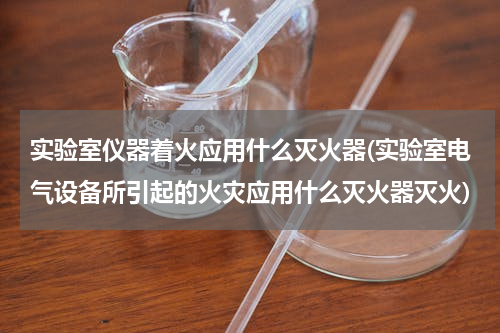 实验室仪器着火应用什么灭火器(实验室电气设备所引起的火灾应用什么灭火器灭火)