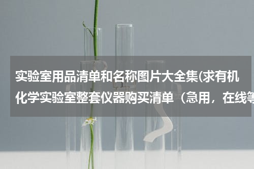 实验室用品清单和名称图片大全集(求有机化学实验室整套仪器购买清单（急用，在线等）)