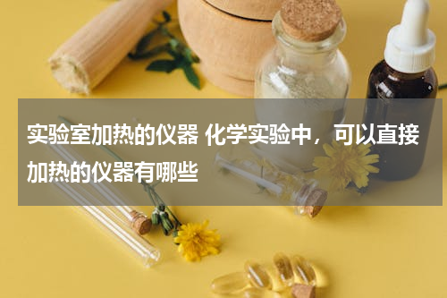 实验室加热的仪器 化学实验中，可以直接加热的仪器有哪些