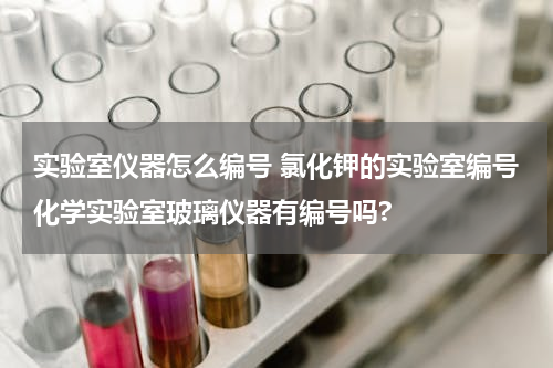 实验室仪器怎么编号 氯化钾的实验室编号化学实验室玻璃仪器有编号吗?