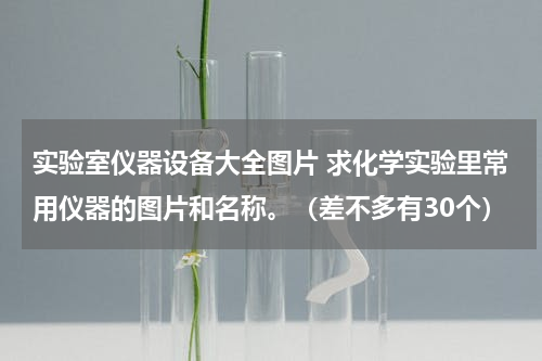 实验室仪器设备大全图片 求化学实验里常用仪器的图片和名称。（差不多有30个）