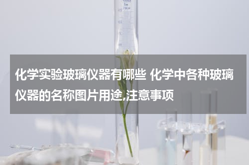 化学实验玻璃仪器有哪些 化学中各种玻璃仪器的名称图片用途,注意事项