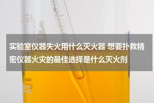 实验室仪器失火用什么灭火器 想要扑救精密仪器火灾的最佳选择是什么灭火剂