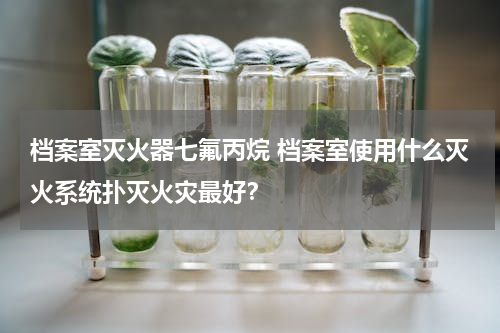 档案室灭火器七氟丙烷 档案室使用什么灭火系统扑灭火灾最好？