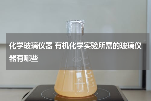 化学玻璃仪器 有机化学实验所需的玻璃仪器有哪些