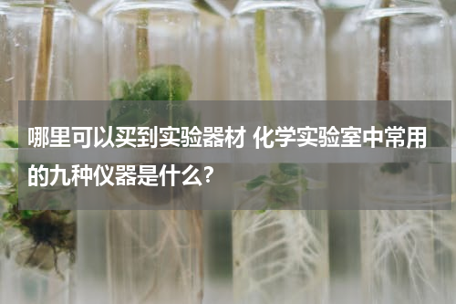 哪里可以买到实验器材 化学实验室中常用的九种仪器是什么？