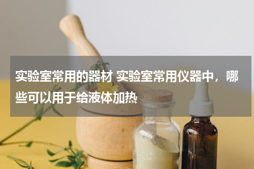 实验室常用的器材 实验室常用仪器中，哪些可以用于给液体加热