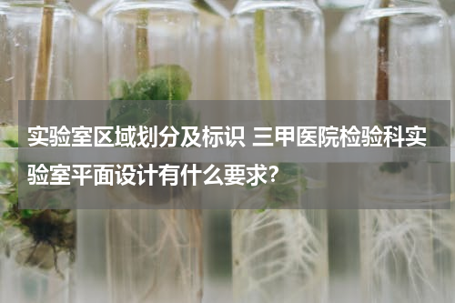 实验室区域划分及标识 三甲医院检验科实验室平面设计有什么要求？