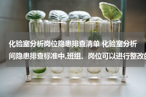 化验室分析岗位隐患排查清单 化验室分析间隐患排查标准中,班组、岗位可以进行整改的隐患有哪些？