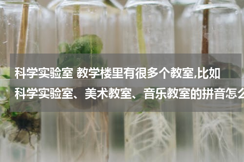 科学实验室 教学楼里有很多个教室,比如科学实验室、美术教室、音乐教室的拼音怎么写?