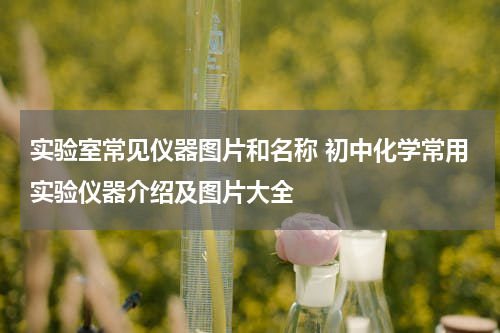 实验室常见仪器图片和名称 初中化学常用实验仪器介绍及图片大全