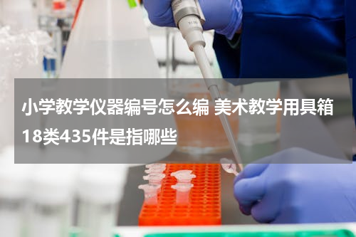小学教学仪器编号怎么编 美术教学用具箱18类435件是指哪些
