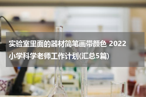 实验室里面的器材简笔画带颜色 2022小学科学老师工作计划(汇总5篇)