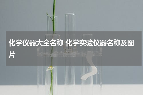 化学仪器大全名称 化学实验仪器名称及图片