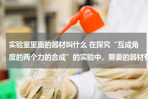 实验室里面的器材叫什么 在探究“互成角度的两个力的合成”的实验中，需要的器材有：方木块、白纸、细绳套两个、三角板、刻度尺、