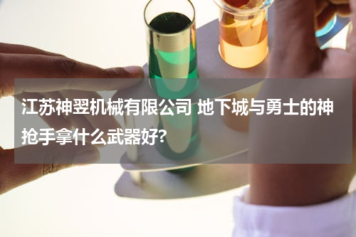江苏神翌机械有限公司 地下城与勇士的神抢手拿什么武器好?