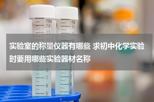 实验室的称量仪器有哪些 求初中化学实验时要用哪些实验器材名称