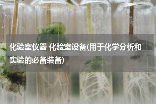 化验室仪器 化验室设备(用于化学分析和实验的必备装备)