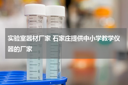 实验室器材厂家 石家庄提供中小学教学仪器的厂家