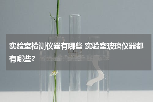 实验室检测仪器有哪些 实验室玻璃仪器都有哪些？