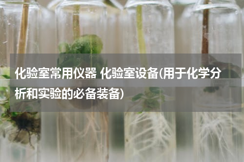 化验室常用仪器 化验室设备(用于化学分析和实验的必备装备)
