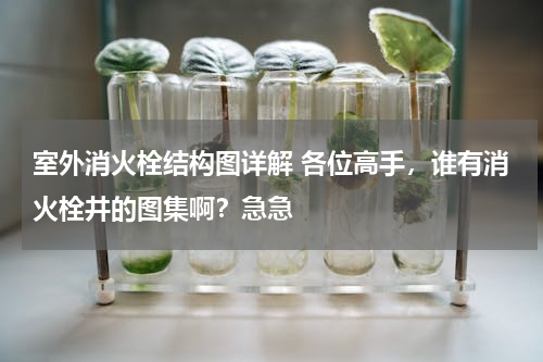 室外消火栓结构图详解 各位高手，谁有消火栓井的图集啊？急急