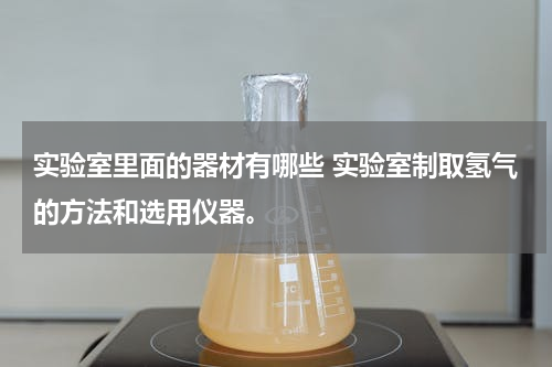 实验室里面的器材有哪些 实验室制取氢气的方法和选用仪器。