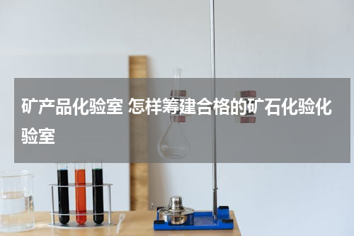 矿产品化验室 怎样筹建合格的矿石化验化验室