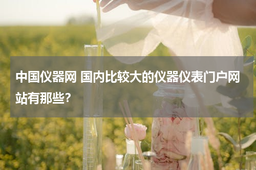 中国仪器网 国内比较大的仪器仪表门户网站有那些？