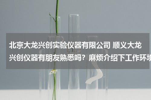 北京大龙兴创实验仪器有限公司 顺义大龙兴创仪器有朋友熟悉吗？麻烦介绍下工作环境福利待遇，多谢！