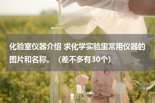 化验室仪器介绍 求化学实验里常用仪器的图片和名称。（差不多有30个）