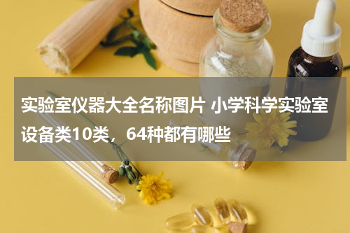实验室仪器大全名称图片 小学科学实验室设备类10类，64种都有哪些