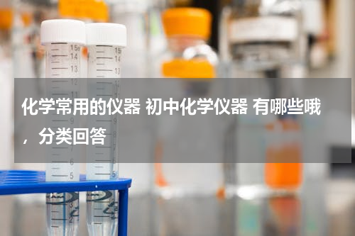 化学常用的仪器 初中化学仪器 有哪些哦，分类回答
