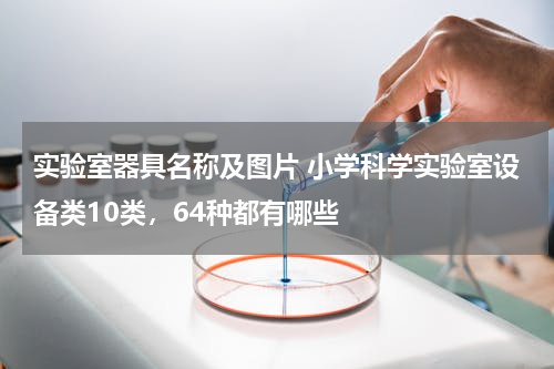 实验室器具名称及图片 小学科学实验室设备类10类，64种都有哪些