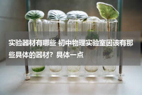 实验器材有哪些 初中物理实验室因该有那些具体的器材？具体一点