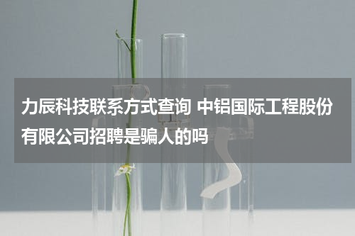 力辰科技联系方式查询 中铝国际工程股份有限公司招聘是骗人的吗